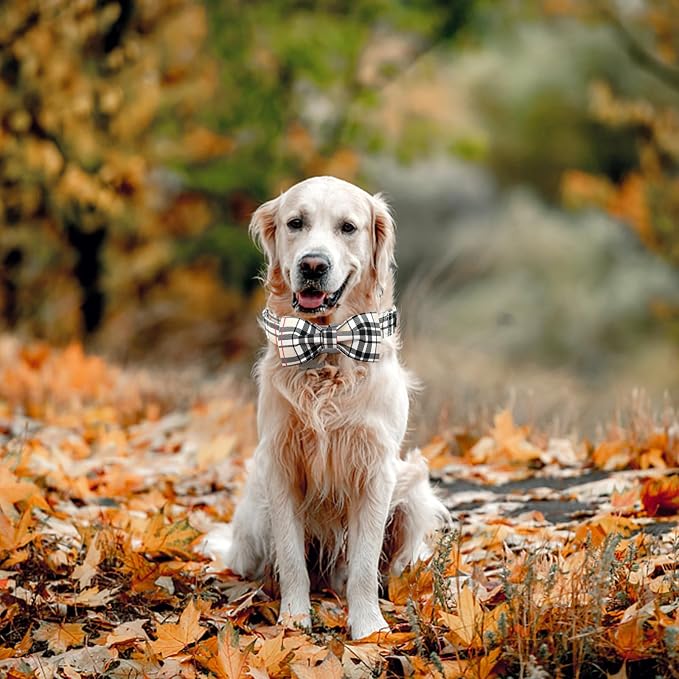 Dog Collar, Bow Dog Collar Plaid Pet Collar Dog Cute Pet Bow Soft Girl or Boy - Image 6