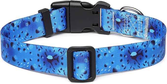 Mercano Adjustable Dog Collar
