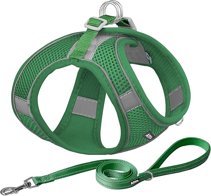 AIITLE Step in Dog Harness and Leash Set by AIITLE-FORPETSBETTERLIFE