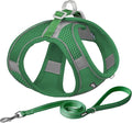 AIITLE Easy Walk Dog Harness and Leash Set by AIITLE-FORPETSBETTERLIFE