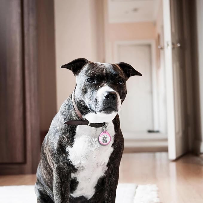 2-Pack -Smart QR Code Pet ID Tag - Image 4