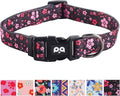QQPETS Adjustable Soft Dog Collar: Print Flower Pink Multicolor Cute Patterns by QQPETS