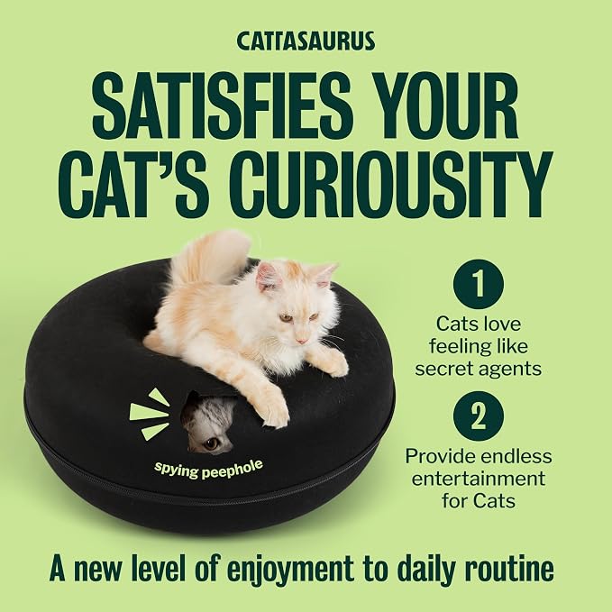 Cattasaurus Peekaboo Cat Cave Donut - Image 5