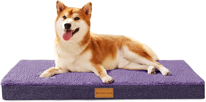 Patas Lague Orthopedic Dog Bed Large Sized Dog 36''X24'', Soft Waterproof Egg by PatasLague
