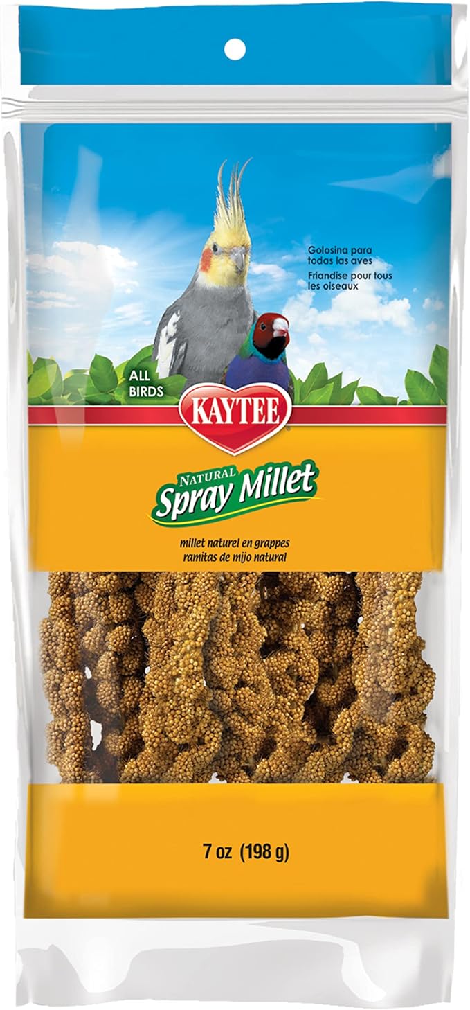 Kaytee Spray Millet Treat for Pet Birds, 7 Ounce by Kaytee