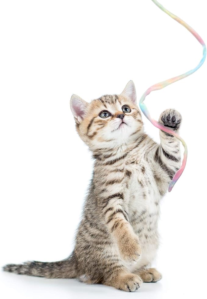 Sumind 3 Pieces Jungle Cat Wand Cat Teaser Charmer Interactive Fun Toys Wand - Image 4