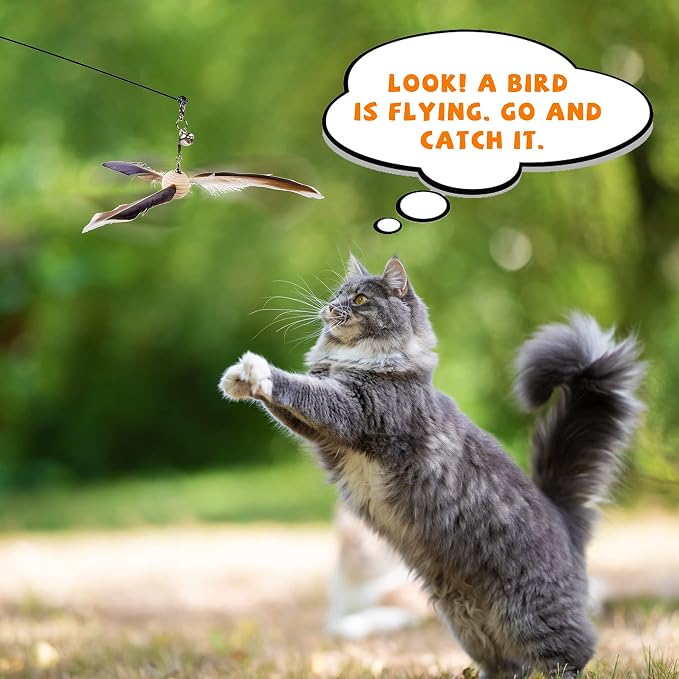 JXFUKAL Cat Wand Toys, Interactive Cat Toys - Image 6