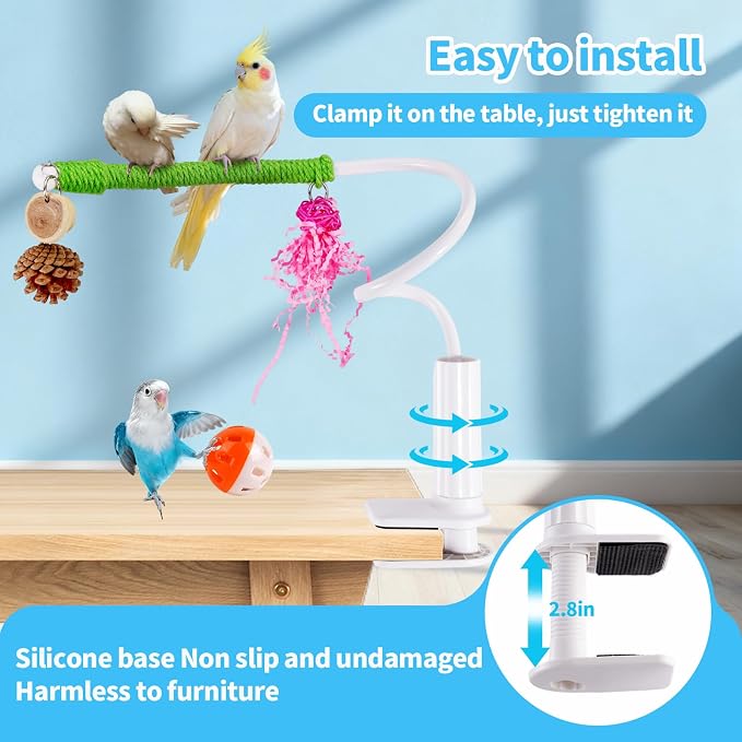 Bird Perch Stand with Swing, Desktop Bird Toy & Stand - Image 5
