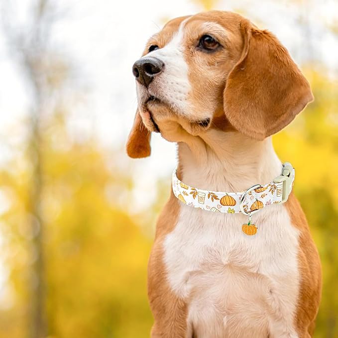 Faygarsle Fall Pumpkin and Leaves Pattern Dog Collar - Image 6