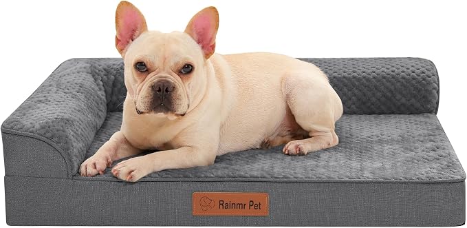 Orthopedic Dog Bed for Small and Medium Dogs, Memory Foam Pet Bed by RainmrBedding