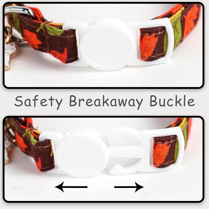 Unique style paws 2 Pack Kitten Collar Breakaway - Image 3