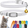 CollarDirect Leather Cat Collar, Kitten Collar by CollarDirect