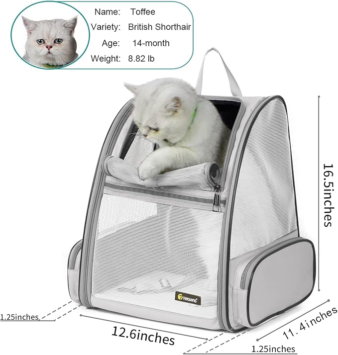 Texsens Pet Backpack Carrier for Small Cats Dogs | Ventilated Design, Safety - Image 2