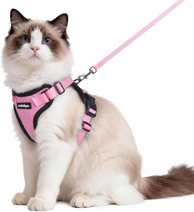 rabbitgoo Cat Harness and Leash by rabbitgoo