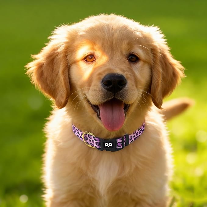 QQPETS Adjustable Soft Dog Collar: Print Flower Pink Multicolor Cute Patterns - Image 2