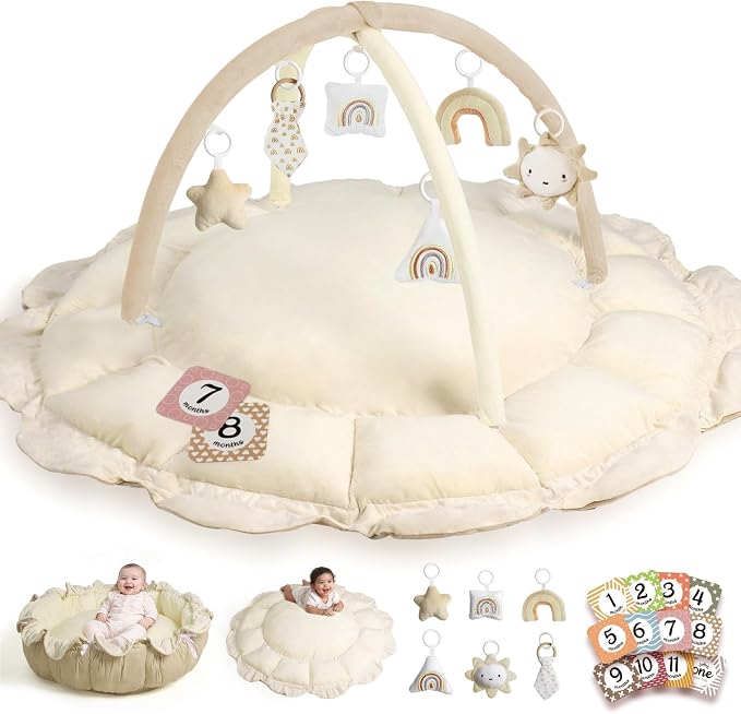 Little Dove 5-in-1 Convertible Baby Play Gym by HAN-MM