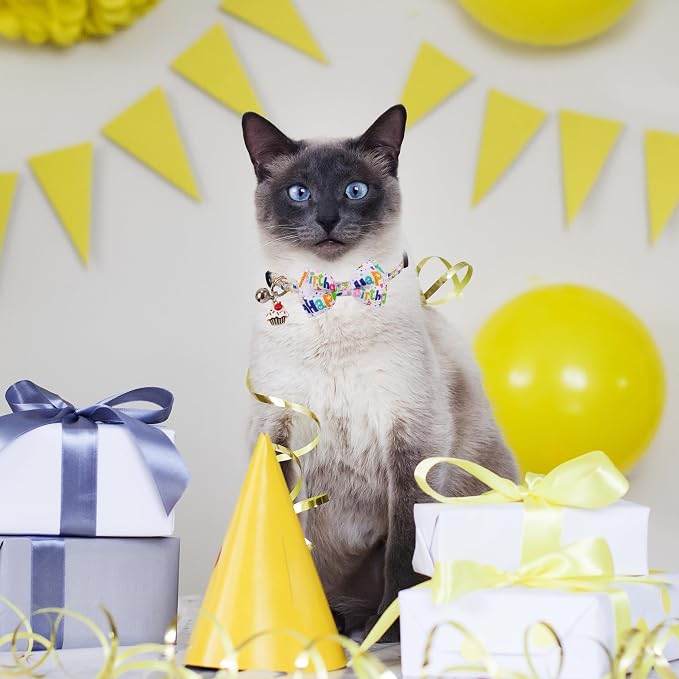ADOGGYGO Birthday Cat Collars - Image 2