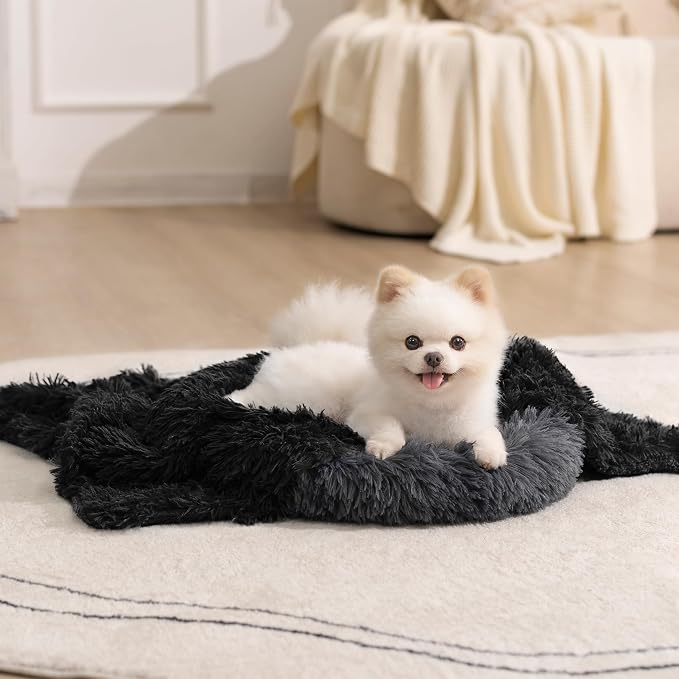 gogobunny Waterproof Dog Blanket by gogobunny
