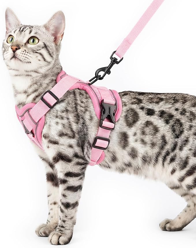 Cat Harness and Leash Set Escape Proof Tactical Medium Kitten Harness Emotional by pangdi