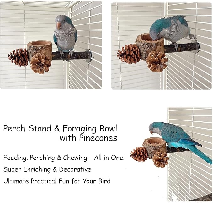 2 Pcs Bird Perch with Safe Bowl Wood & Pinecones - Image 5