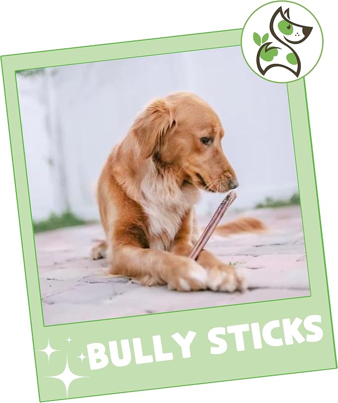 Nature Gnaws Bully Sticks for Dogs 11-12" - Image 7