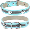 PETCARE Reflective Dog Collar by PETCARE