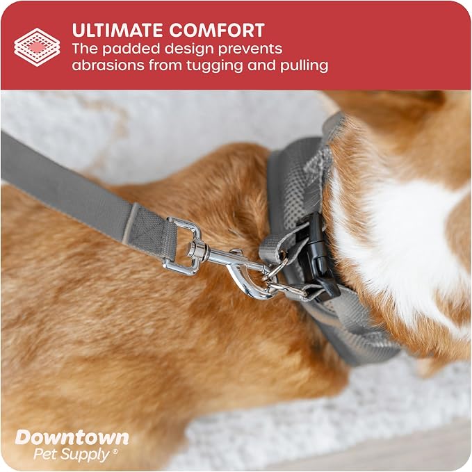 Downtown Pet Supply Step in Dog Harness No Pull, Light Gray - Image 6