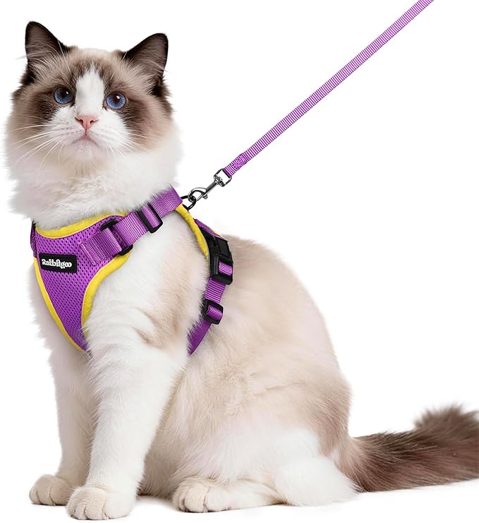 rabbitgoo Cat Harness and Leash by rabbitgoo