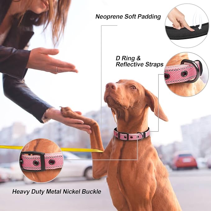 PetiFine Dog Collars for Small Dogs, Neoprene Padded Dog Collar, Reflective - Image 2