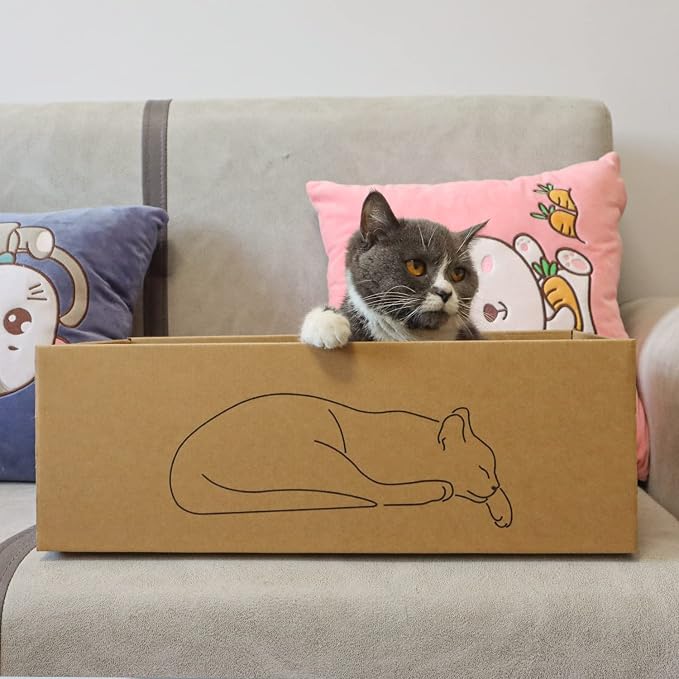 5 Packs in 1 Cat Scratch Pad - Image 6