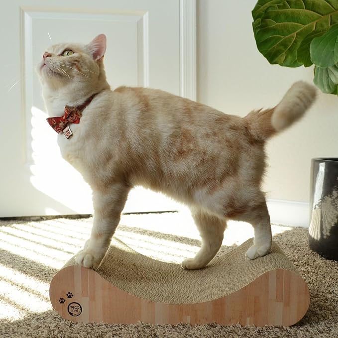 Necoichi Cardboard Cat Scratcher Bed - Image 6