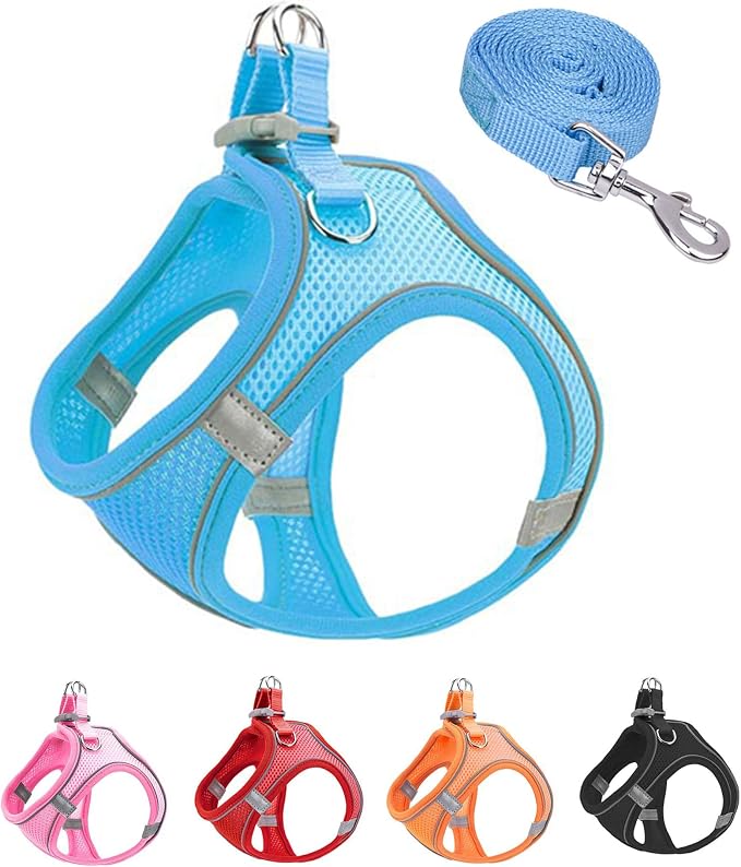 XXS Blue Soft Mesh Dog Harness and Leash Set, No Escape Puppy Harnesses by Unknown