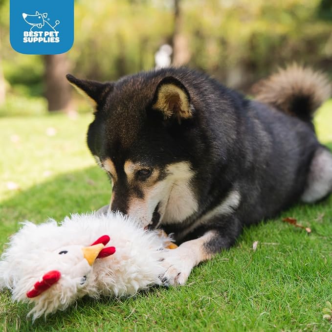 Best Pet Supplies Interactive Squeaky Dog Chew Toy, Ideal Dog Toys - Image 6