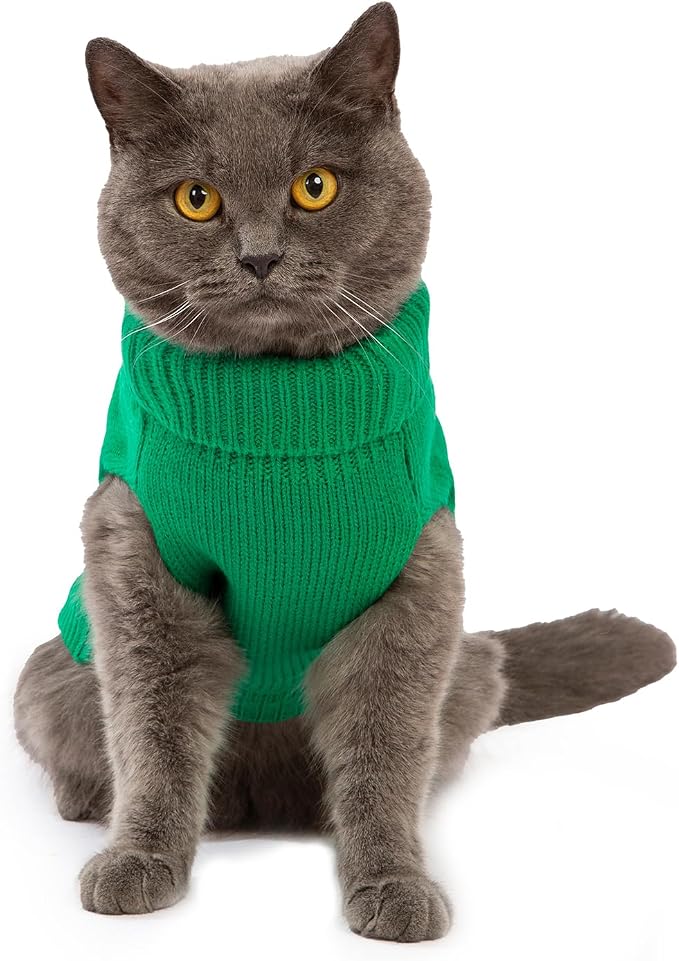 Stretchy Cat Sweater - Image 3