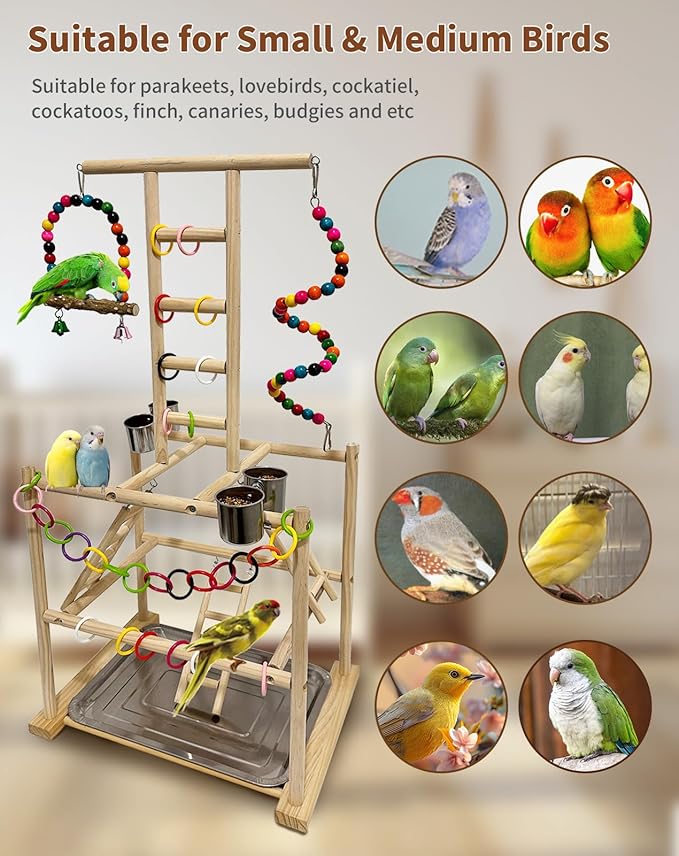 Bird Play Stand, Large Parakeet Playground, Natural Wood Parrot Perch Stand - Image 7