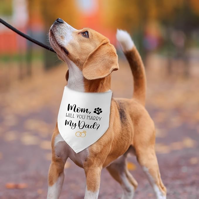 Engagement Gifts Mom, Will You Merry My Dad? Dog Bandana Pet Scarf Wedding - Image 6