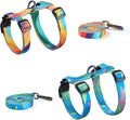 Cat Harness and Leash Set by PetThem