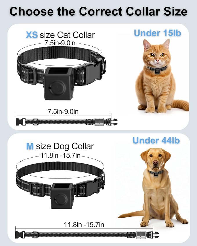 Dog Camera Collar 1080P HD Video Recording Pet POV Cam, NO WiFi NO APP - Image 7