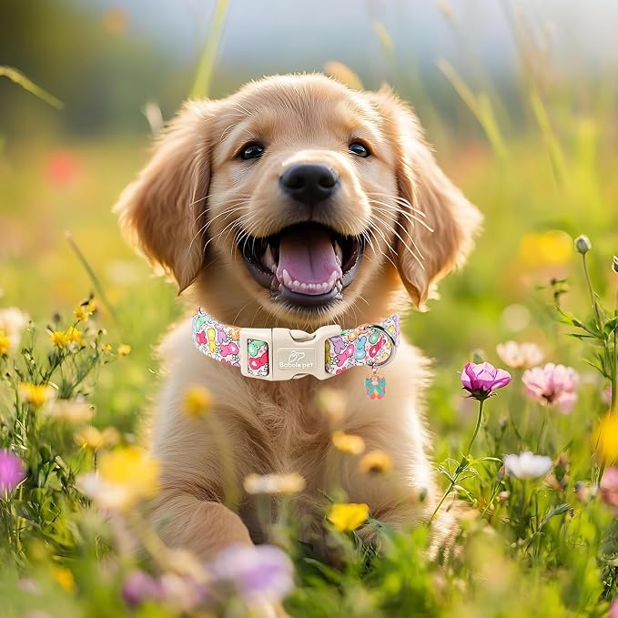 Easter Dog Collar for Medium Dogs - Image 7