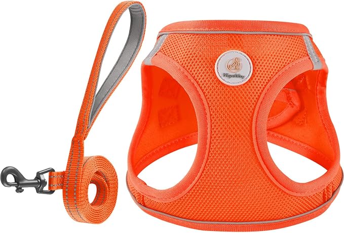 Hipubby Dog Harness and Leash Set, No Pull Soft Mesh Puppy Harness by Hipubby