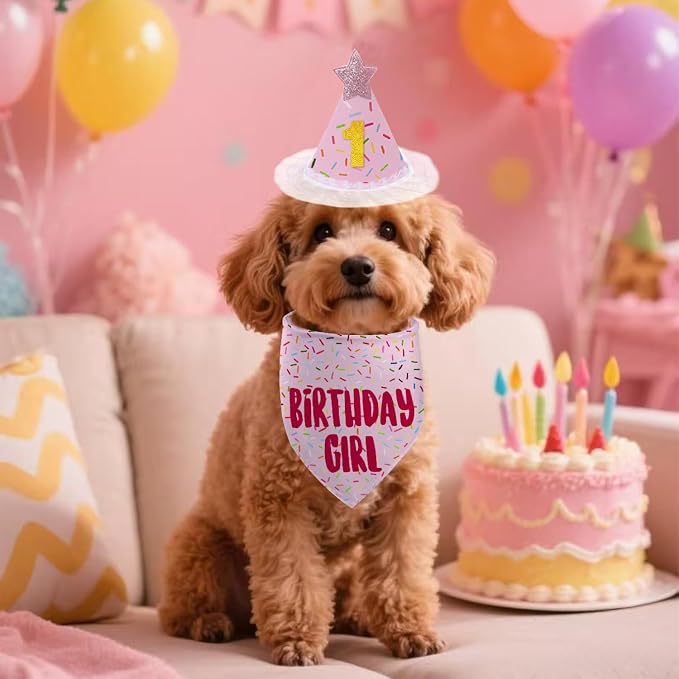Dog Birthday Bandana Set, Light Pink Birthday Girl Decorations, HBD Party - Image 3
