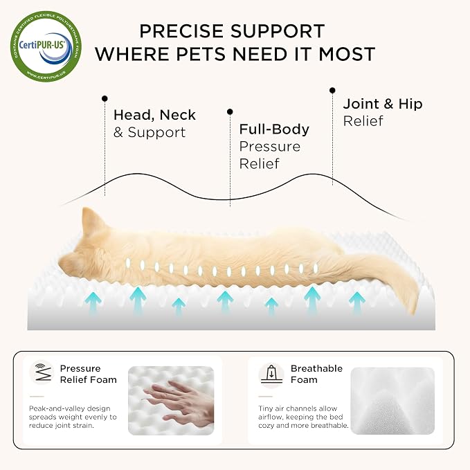 Bedsure Dog Bed for Small Dogs - Image 3