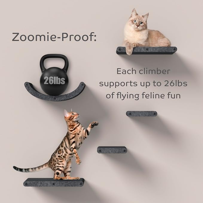 Wall Mounted Cat Shelves by Pryde Pets - Image 7
