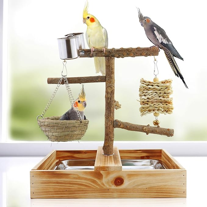 Mogoko Natural Bird Perches Playground, Cage Accessories, Toys Playground - Image 3