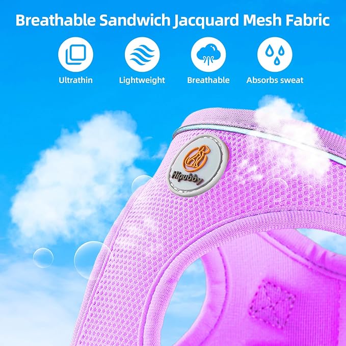 Hipubby Dog Harness and Leash Set, No Pull Soft Mesh Puppy Harness - Image 3