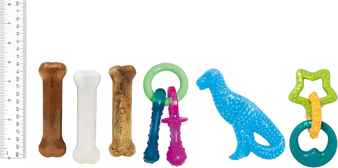 Nylabone New Puppy Starter Kit, 5 Chew Toys and 1 Natural Treat - Image 7