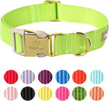 Nylon Dog Collar by Babolepet