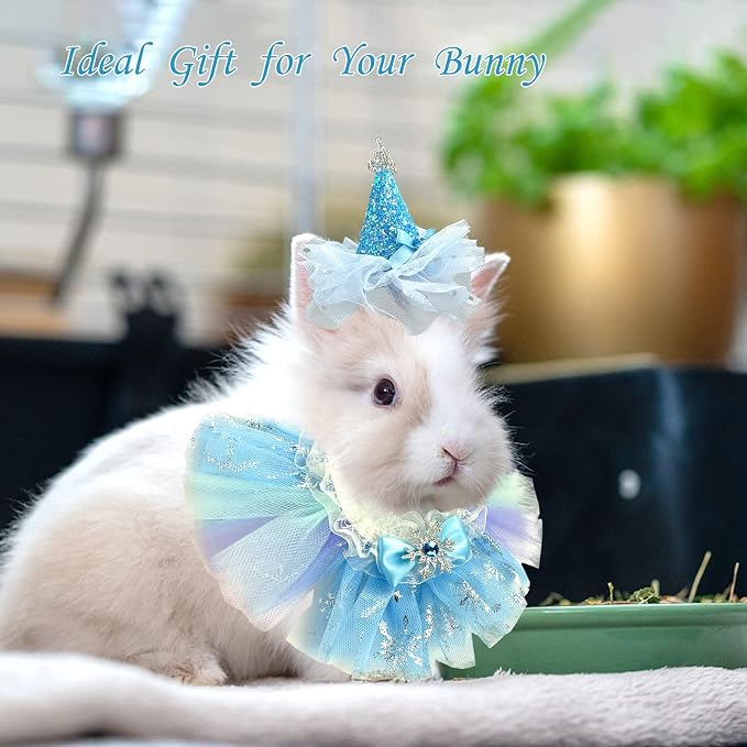 Small Animal Birthday Princess Costume - Image 4