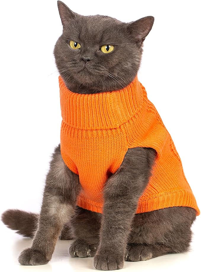 Stretchy Cat Sweater - Image 2