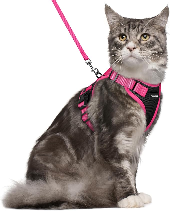 rabbitgoo Cat Harness and Leash Set, Escape Proof Soft Adjustable Vest Harnesses by rabbitgoo